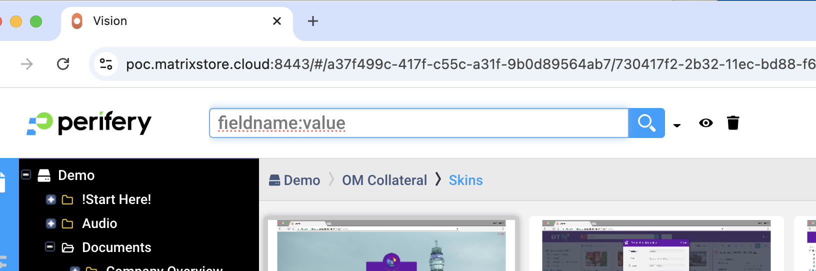 The search bar in Vision