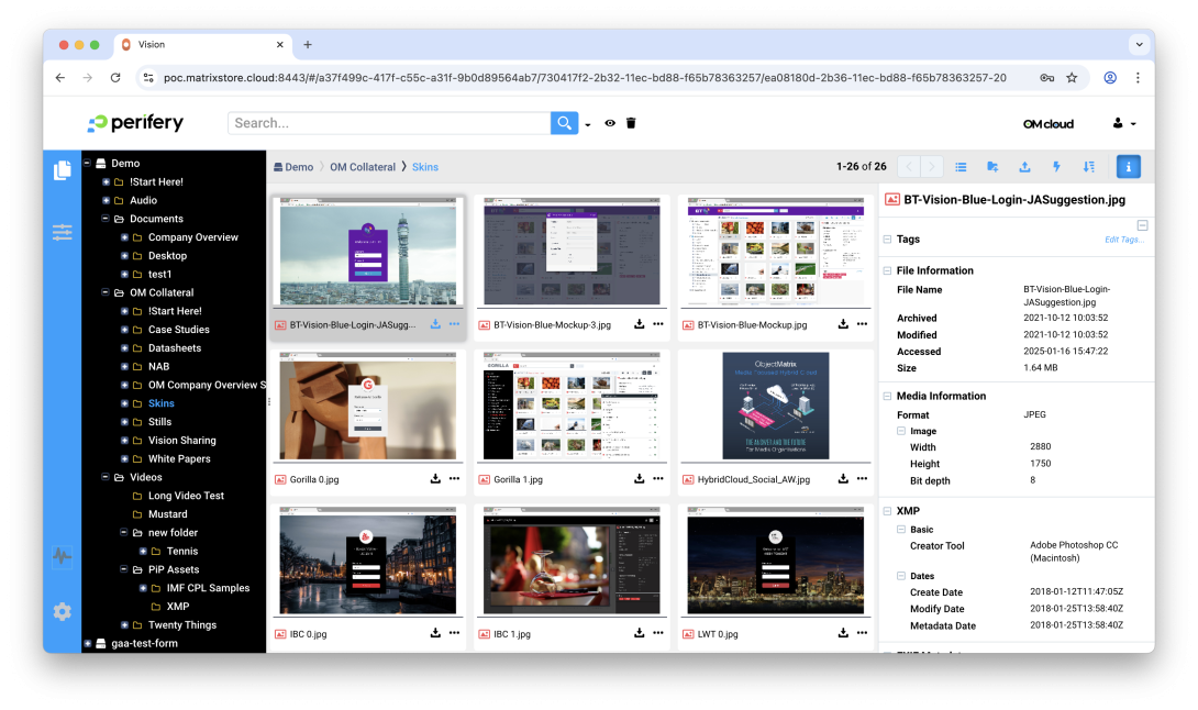 A screenshot of the Vision web interface, showing thumbnails of image assets.